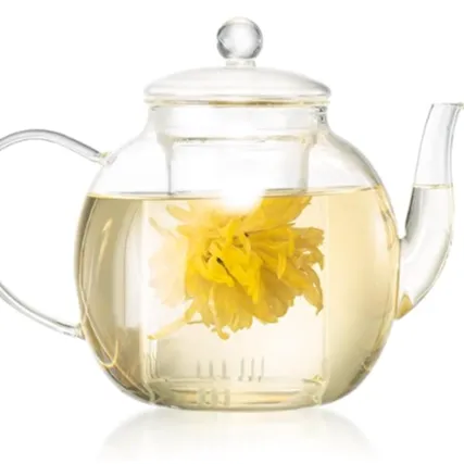 Glass Teapot
